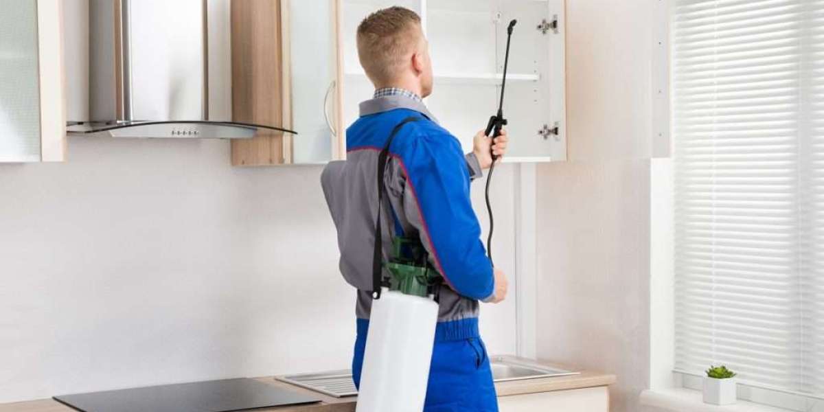 How Often Should Pest Control Be Done at Your House?