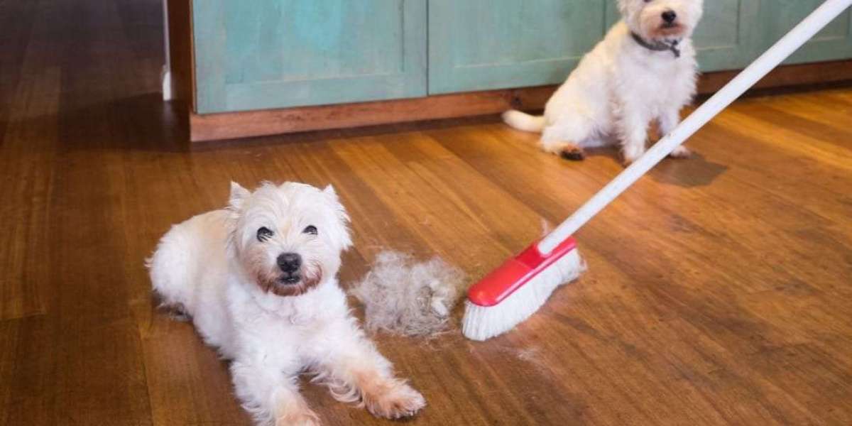 How to Handle Pet Messes: Top Cleaning Tips and Products