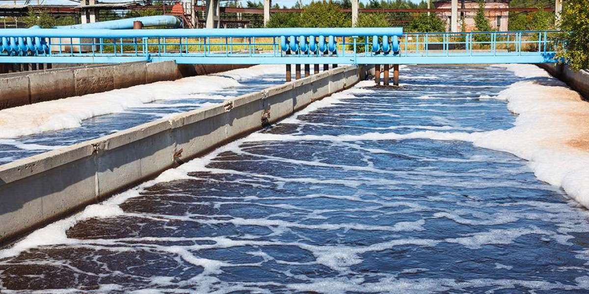 Water Treatment Polymers Market Forecasted to Hit USD 81 Billion by 2033