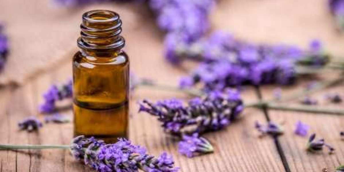 Essential Oil Manufacturing Plant Project Report 2024: Business Plan, Project Details, and Cost Analysis