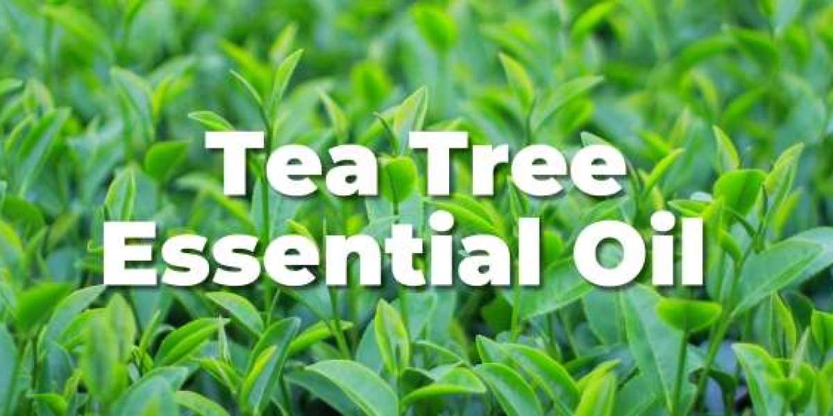 Tea Tree Oil - Tea Tree Oil for Hair - Tea Tree Oil Price - Tea Tree Oil in Hindi