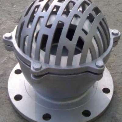 Foot Valve supplier in Sharjah Profile Picture