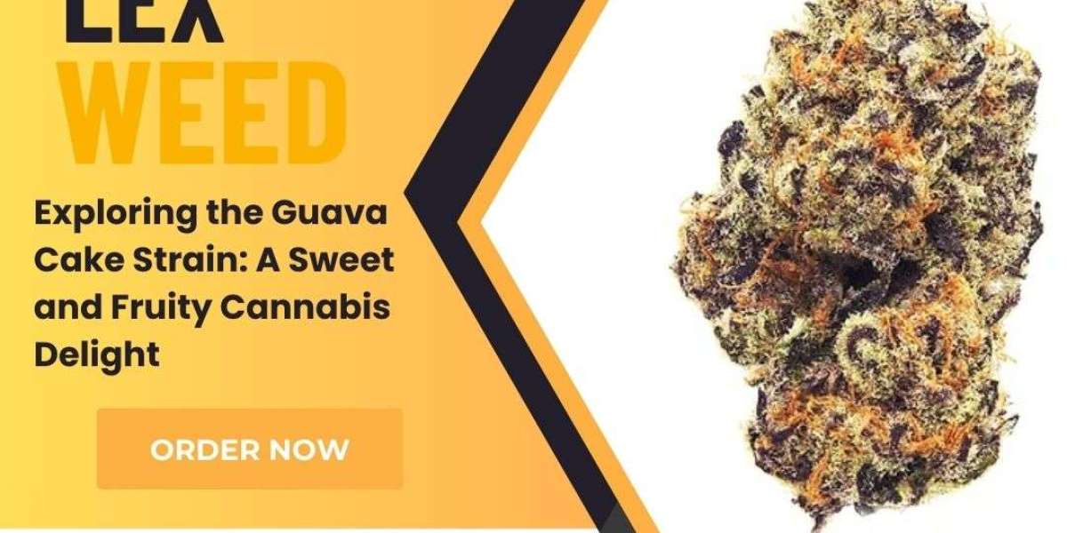  Exploring the Guava Cake Strain: A Sweet and Fruity Cannabis Delight