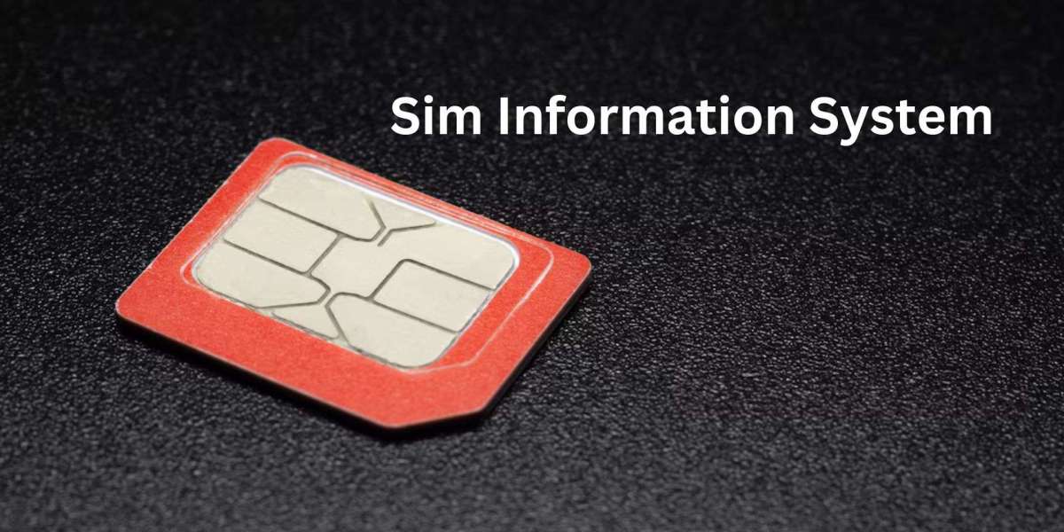 How to Check SIM Information System with Live Tracker