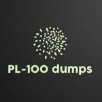 PL-100 Dumps
