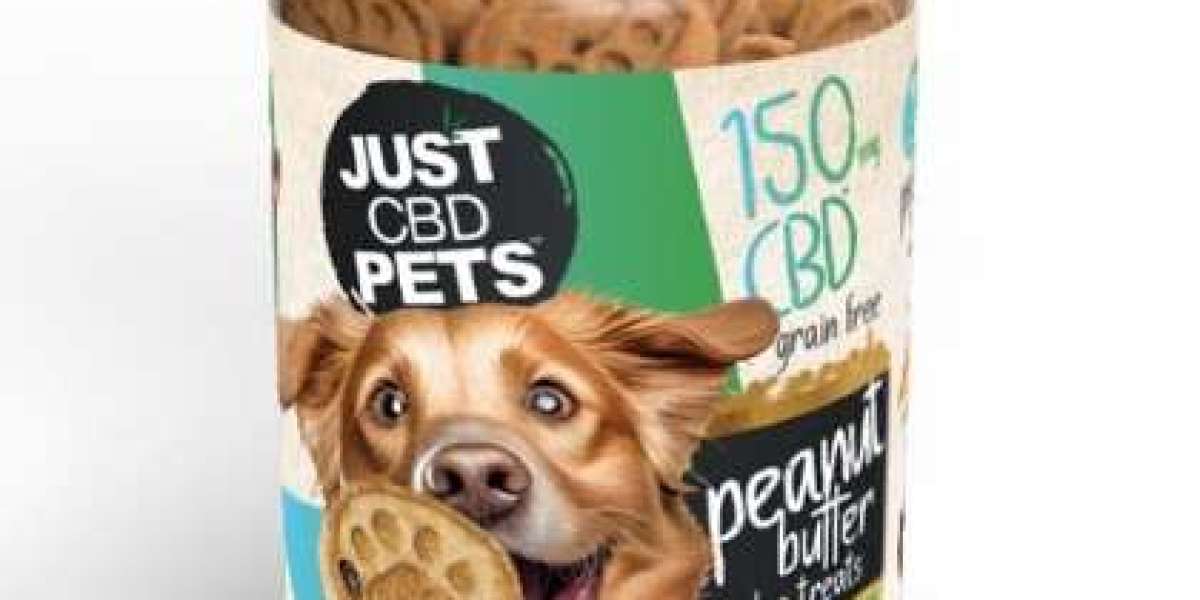Unveiling the Benefits of CBD for Your Furry Friends: A Deep Dive into CBD Pet Products and Treats