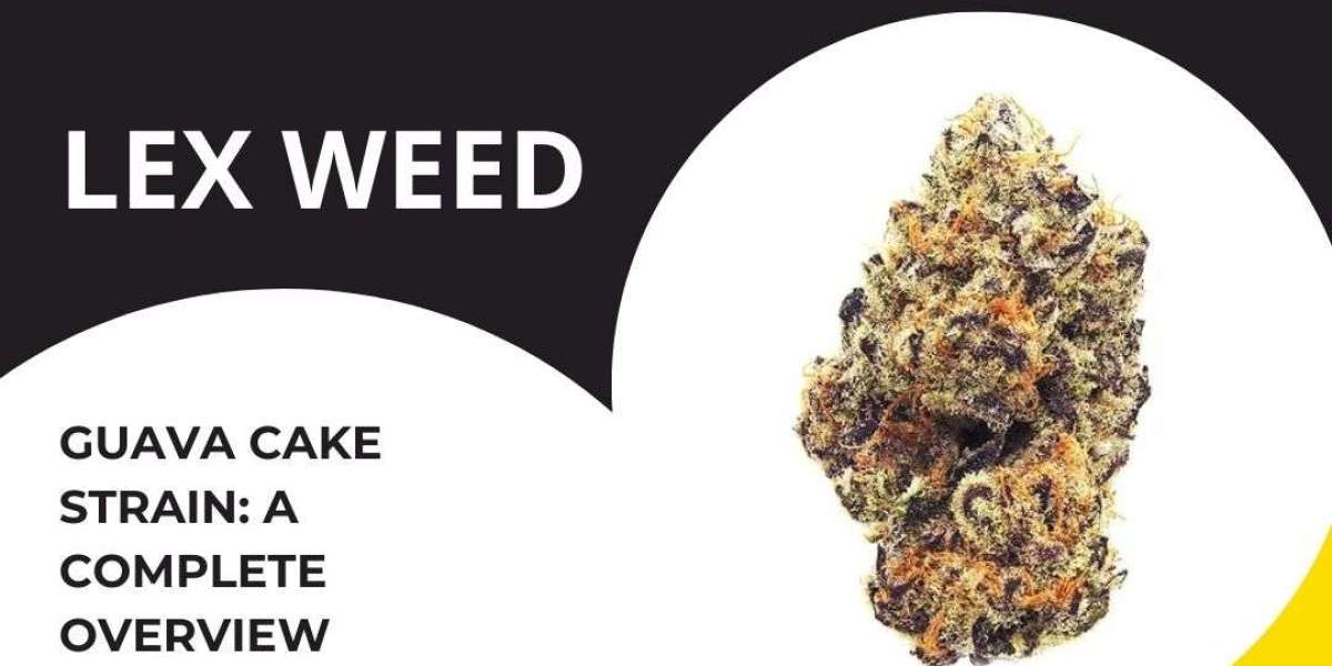 Exploring the Aroma and Flavor of Guava Cake Strain